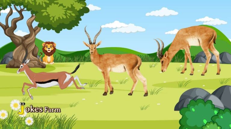 Antelope Jokes That Are Fast, Funny, and Horn-estly Hilarious