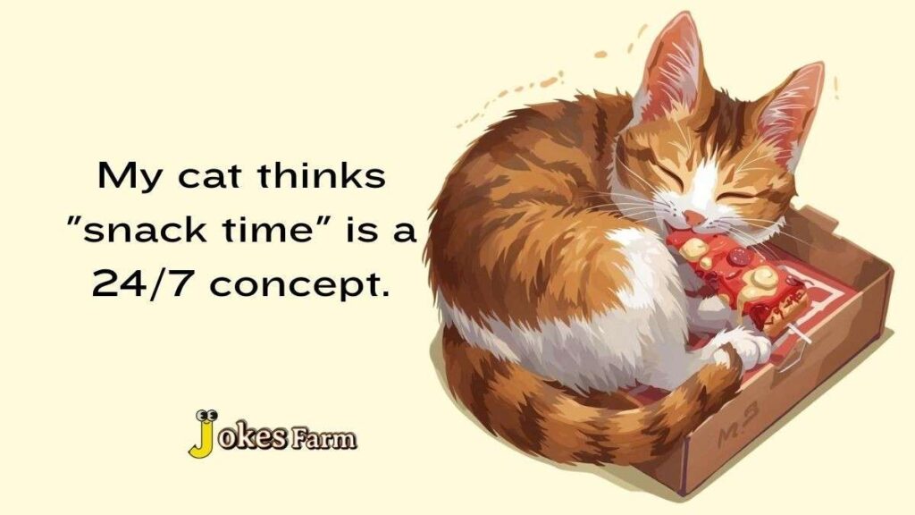 Funny cat sleeping in a snack box, thinking snack time is all day