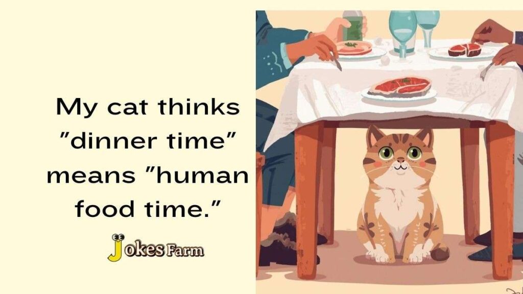 Funny cat sitting under a dinner table, waiting for human food