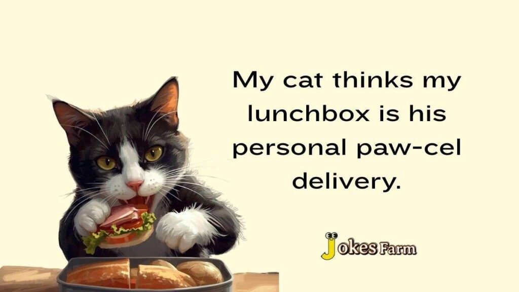 Funny cat stealing a sandwich from a lunchbox, making a paw-cel delivery joke