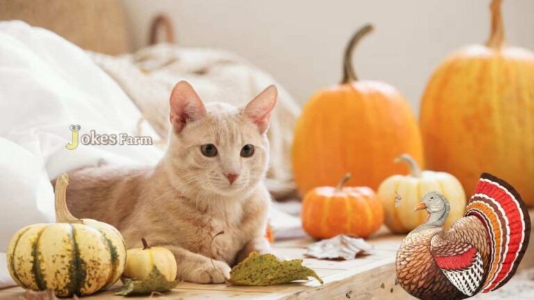 Thanksgiving Cat Puns and jokes That Are Purr-fect for Family Fun